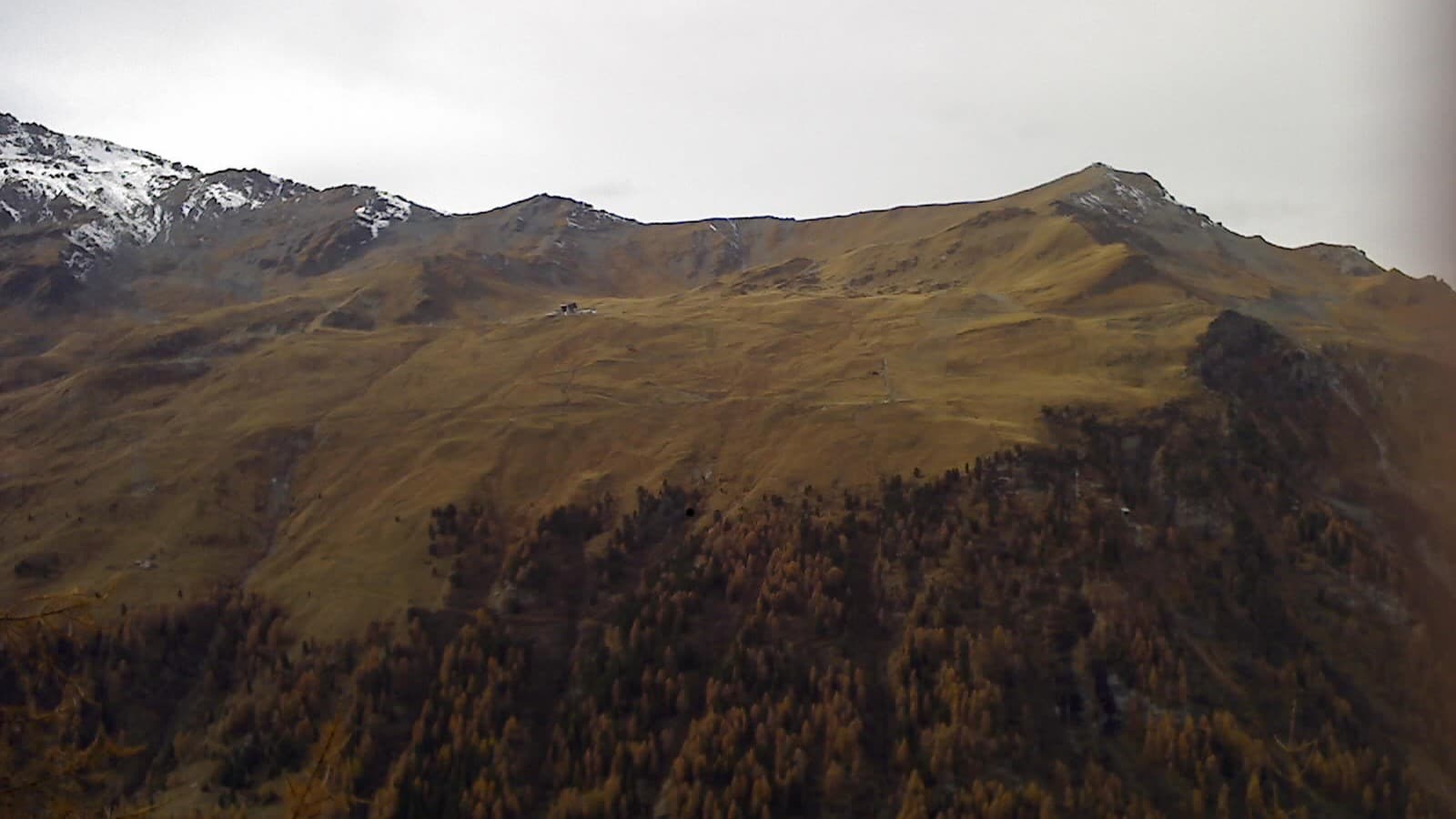 Montagnes enneigées, pentes dorées et forêt d'automne sous ciel gris.