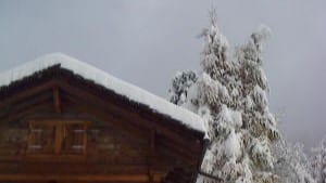 Chalet en bois et arbres enneigés sous ciel hivernal.