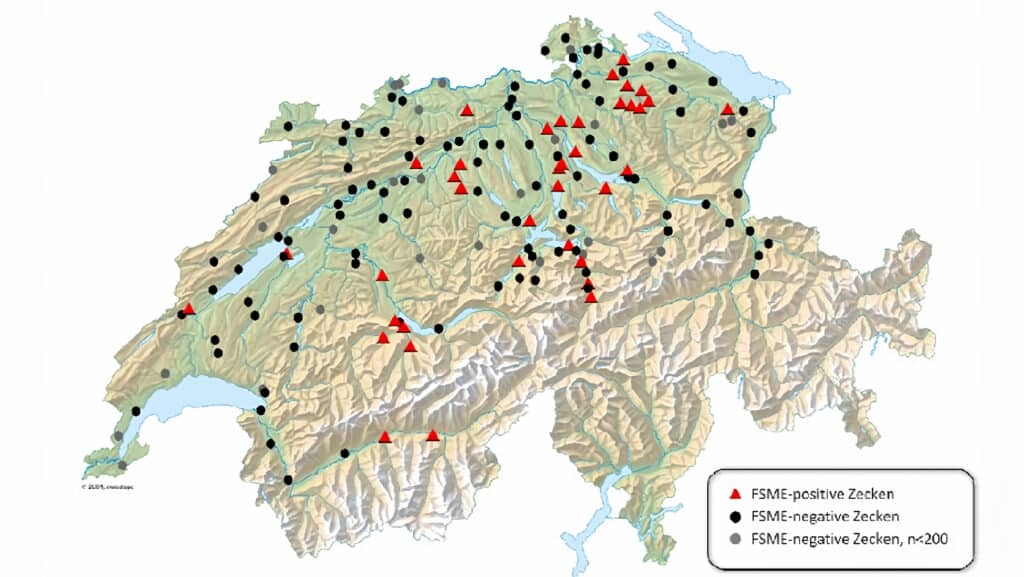 Carte de la Suisse indiquant les zones de tiques positives et négatives à l'encéphalite à tiques, avec des zones en relief et des annotations sur la présence des tiques.