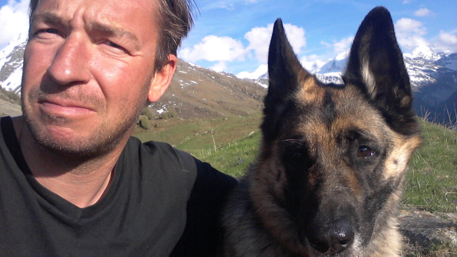 Homme et berger allemand en selfie devant montagnes enneigées