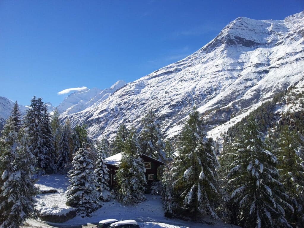 Vue panoramique sur des montagnes enneigées, avec des sapins recouverts de neige au premier plan et un ciel bleu clair en arrière-plan.