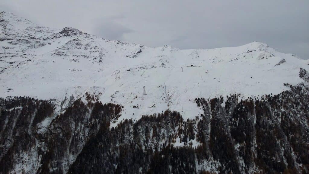 Vue panoramique des Alpes avec des sommets enneigés et des forêts de conifères en bas. Le ciel est nuageux, illustrant une scène d'hiver.