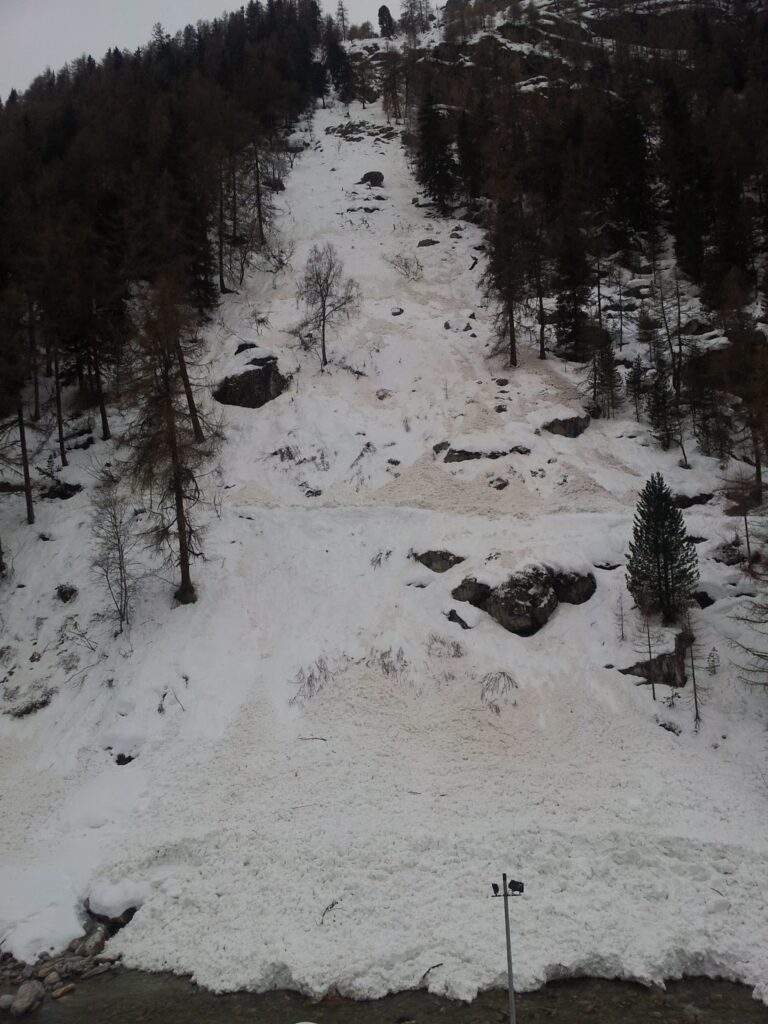 Vue d'une pente montagneuse avec de la neige et des arbres, montrant des traces d'avalanche sur le sol, avec des rochers visibles.