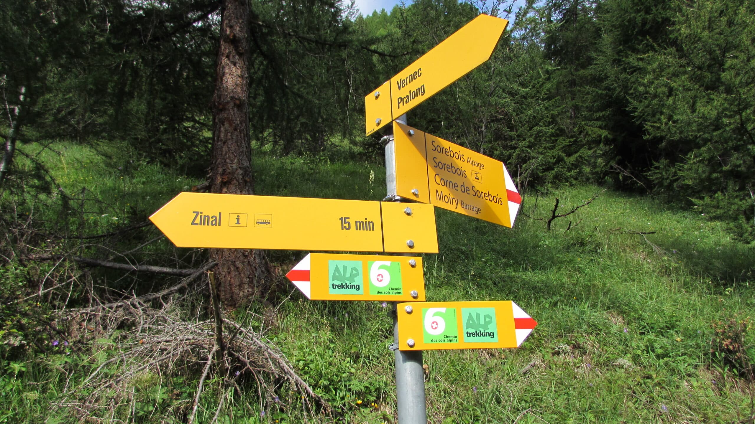 Panneau de randonnée jaune indiquant plusieurs directions en forêt.