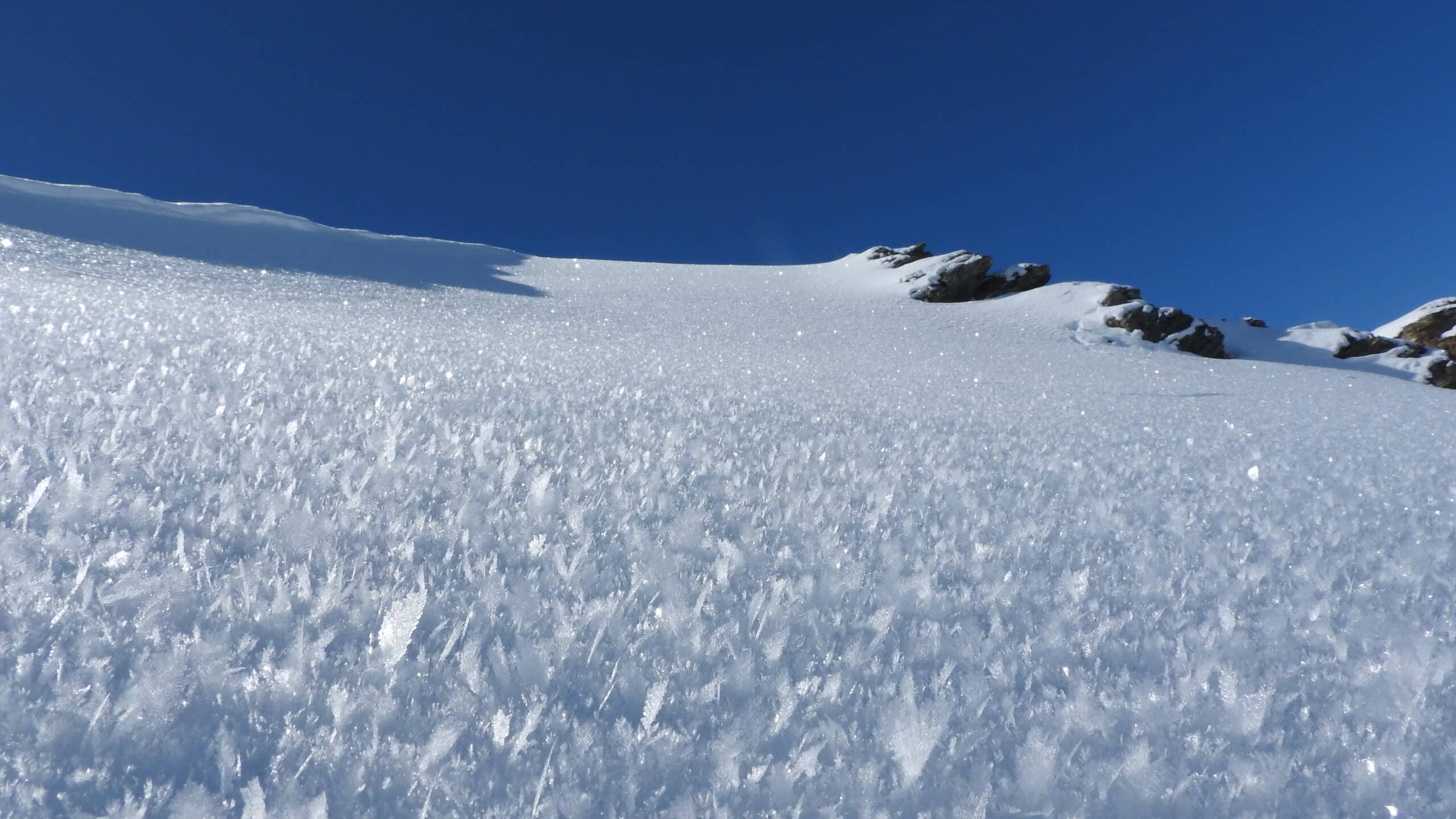 Cristaux de givre scintillants sur neige sous un ciel bleu intense.