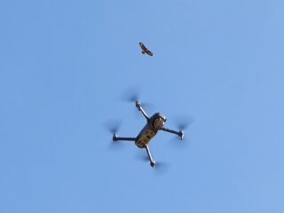 Au mayen, quand tout flamboie avant le grand apaisement hivernal. Mon égosystème.