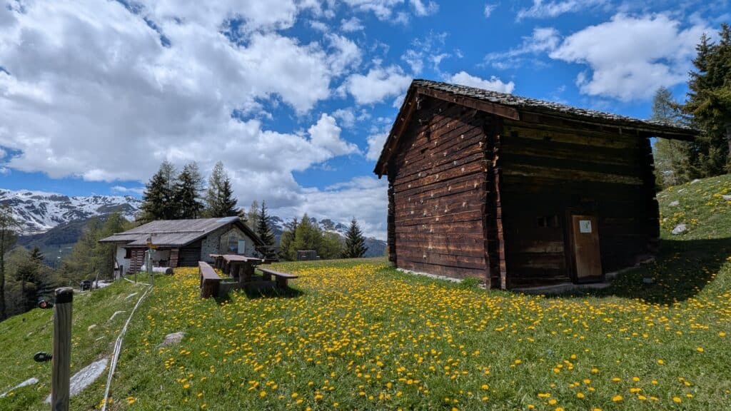 Un paysage alpin avec des chalets en bois, entourés de fleurs jaunes sur un terrain verdoyant, et des montagnes en arrière-plan sous un ciel nuageux.