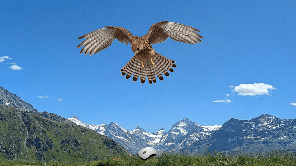 Un faucon crécerelle volant au-dessus d'un paysage alpin, avec une souris d'ordinateur posée sur le sol.