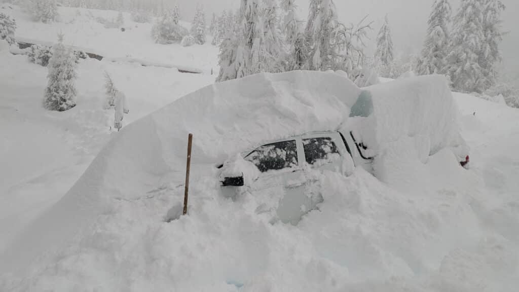 Un véhicule entièrement enseveli sous la neige, entouré d'arbres enneigés et dans un environnement hivernal sombre.