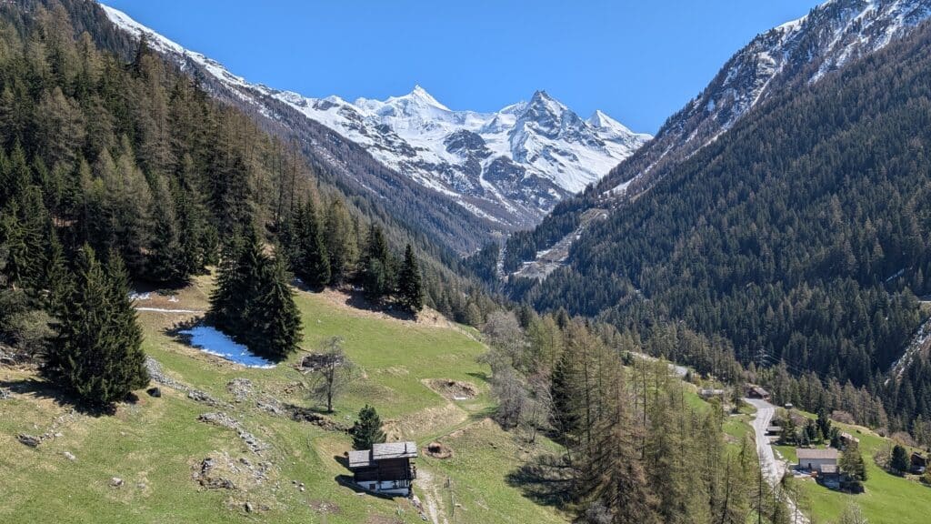 Vue panoramique d'une vallée alpine avec des sommets enneigés en arrière-plan, des arbres et des prairies verdoyantes au premier plan.