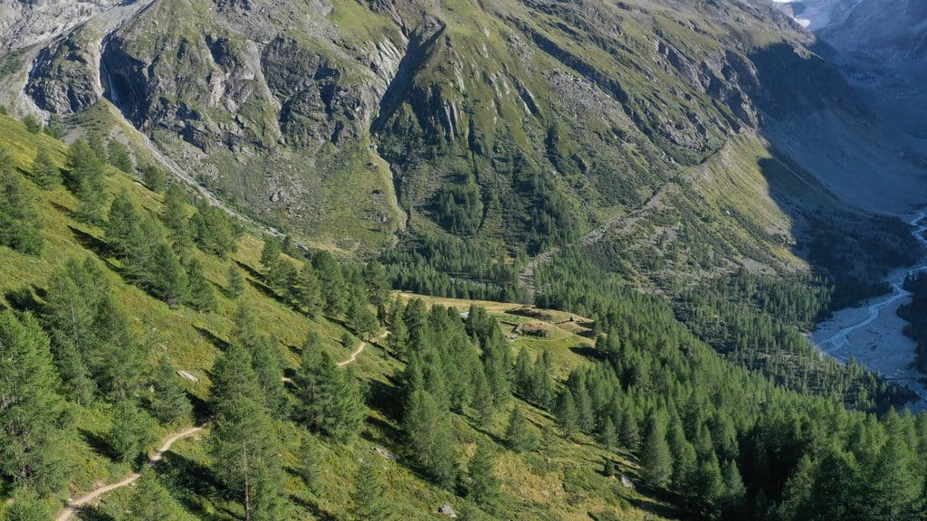 Paysage alpin verdoyant avec montagnes rocheuses, forêt de conifères et sentier.