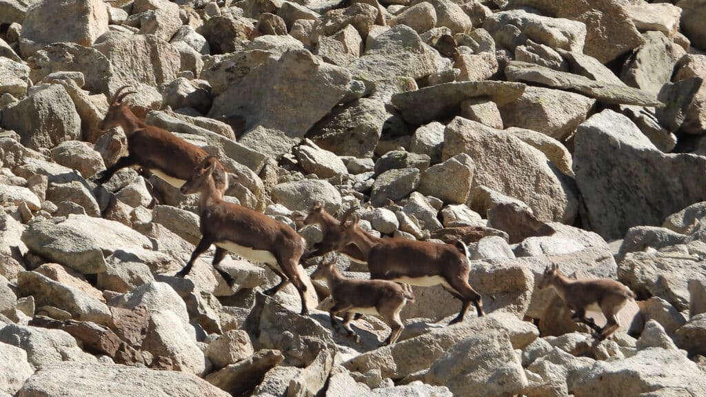 Sur le chemin de la cabane du Grand Mountet